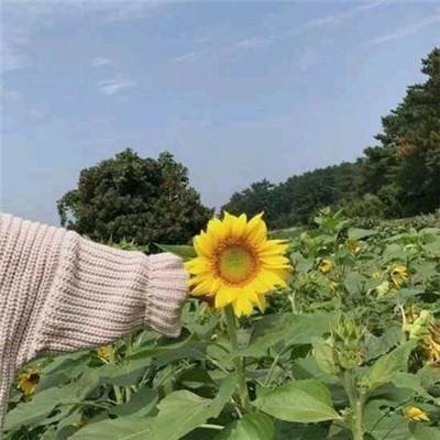 剑刃起源魔兽大逃杀游戏下载