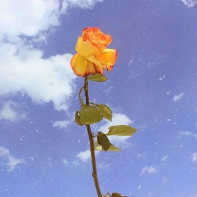 战区勇往直前手游下载安装