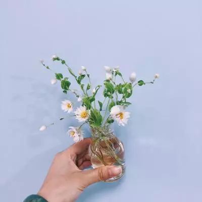量子特攻一号玩家版本下载